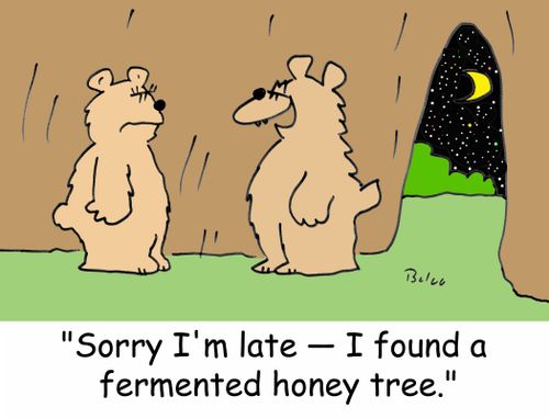 'Sorry I'm late - I found a fermented honey tree.'