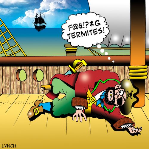 'Termites.'