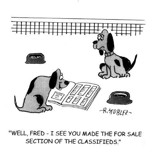 'Well, Fred - I see you made the for sale section of the classifieds.'
