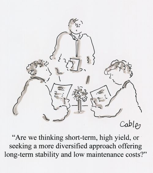 'Are we thinking short-term, high yield, or seeking a more diversified approach offering long-term stability and low maintenance costs?'