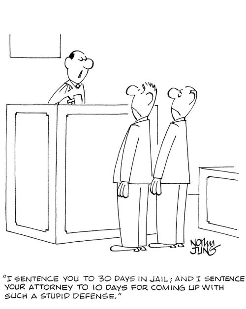 'I sentence you to 30 days in jail; and I sentence your attorney to 10 days for coming up with such a stupid defense.'