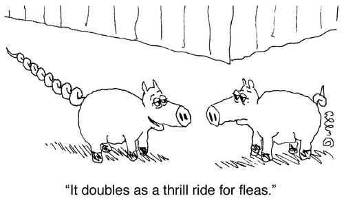 'It doubles as a thrill ride for fleas.'
