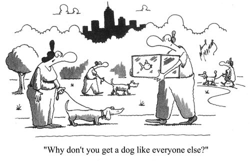 'Why don't you get a dog like everyone else?'