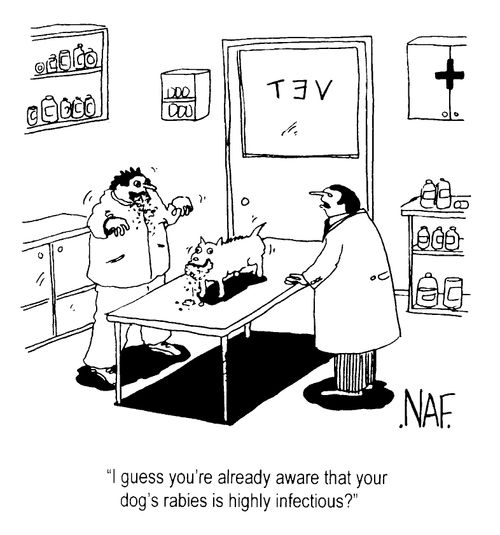 "I guess you're already aware that your dog's rabies is highly infectious?"