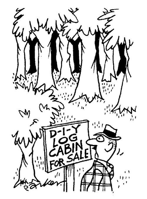 'D I Y log cabin for sale'