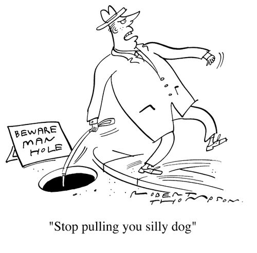 "Stop pulling you silly dog"