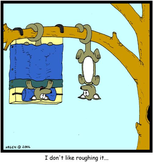 "I don't like roughing it..."