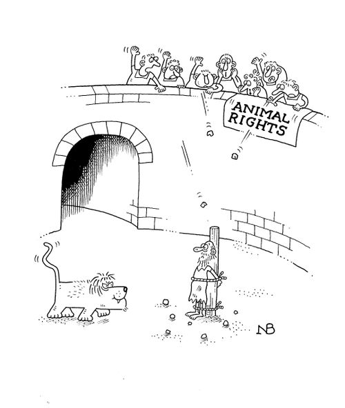 'Animal Rights'