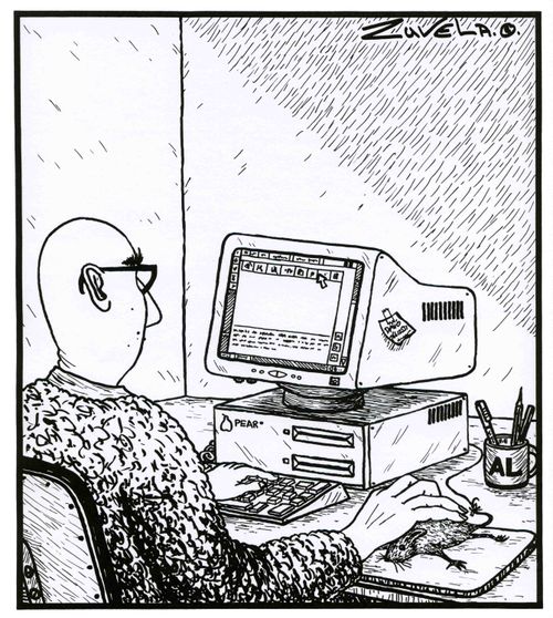 Computer Mouse.