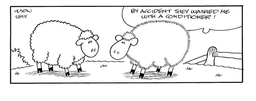 'By accident they washed me with a conditioner!'
