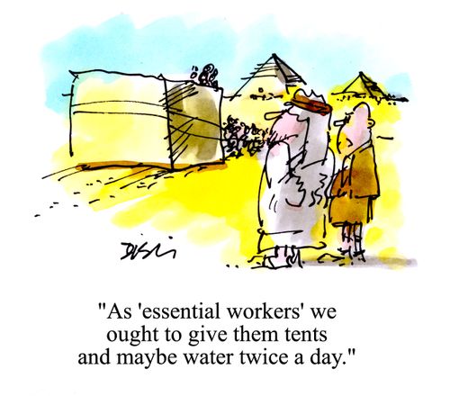 'As 'essential workers' we ought to give them tents and maybe water twice a day.'