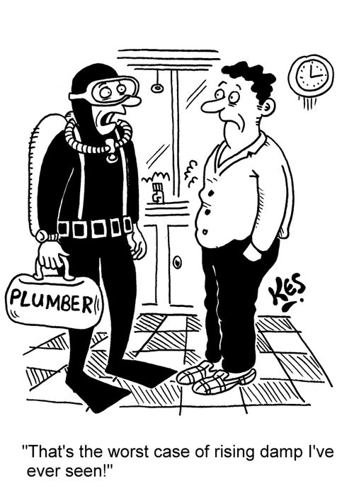 'That's the worst case of rising damp I've ever seen!'
