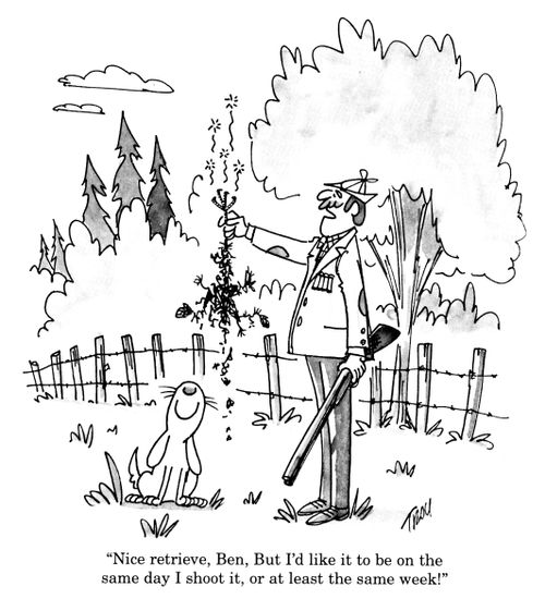 'Nice retrieve, Ben.  But I'd like it to be on the same day I shoot it, or at least the same week!'