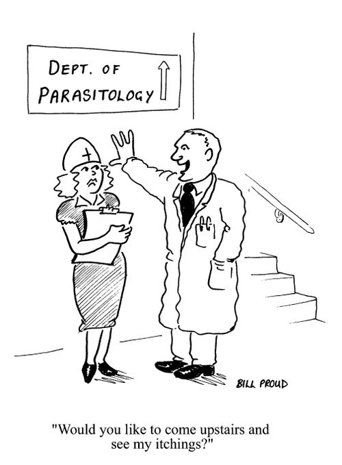 Dept of Parasitology: 'Would you like to come upstairs and see my itchings?'