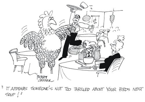 "It appears someone's not too thrilled about your birds nest soup!"