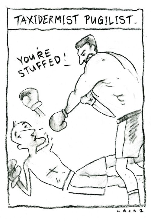 Taxidermist Pugilist.