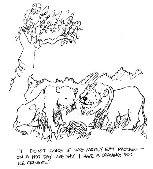 'I don't care if we mostly eat protein - on a hot day like this I have a craving for ice cream.'