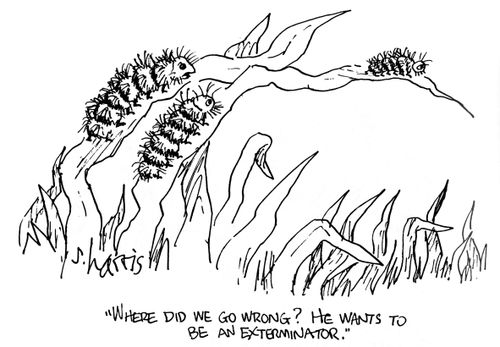 'Where did we go wrong?  He wants to be an exterminator?'