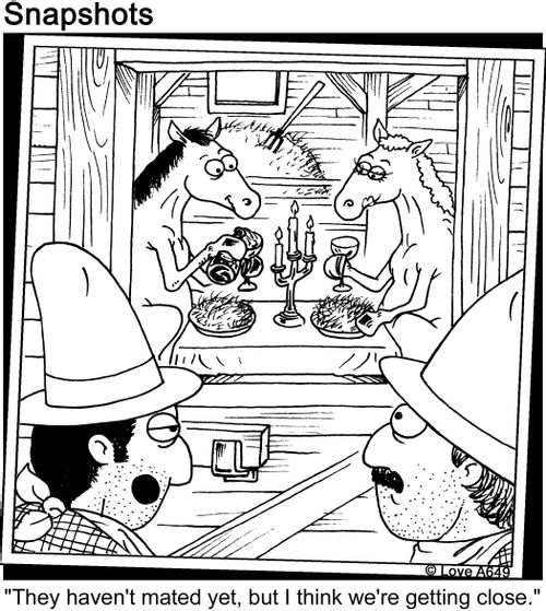 "They haven't mated yet, but I think we're getting close."