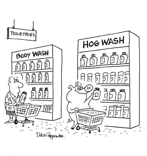 Body Wash/Hog Wash.