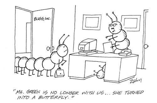 'Ms Green is no longer with us...she turned into a butterfly.'