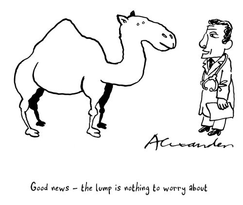 "Good news-the lump is nothing to worry about."