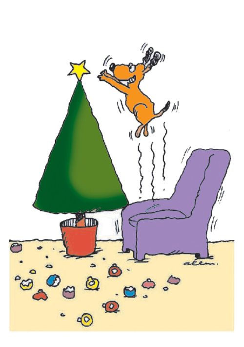 Dog bouncing on chair to pick off all the Christmas tree decorations.