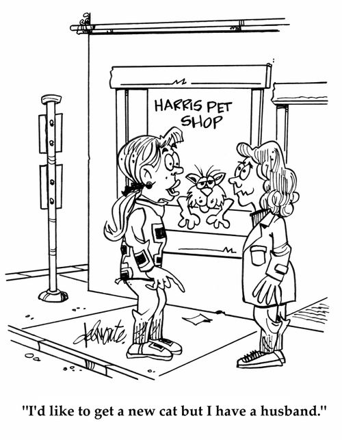 'I'd like to get a new cat but I have a husband.'