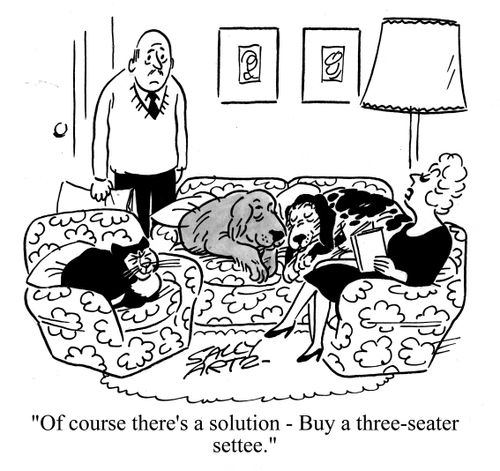 'Of course there's a solution - buy a three seater settee.'