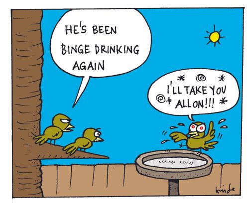 'He's been binge drinking again.'