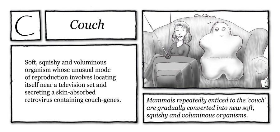 Couch - Soft, squishy and voluminous organism whose unusual mode of reproduction involves locating itself near a television set and secreting a skin-absorbed retrovirus containing couch-genes.