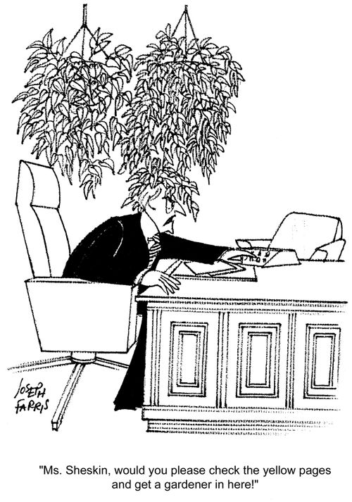 'Ms. Sheskin, would you please check the yellow pages and get a gardener in here!'