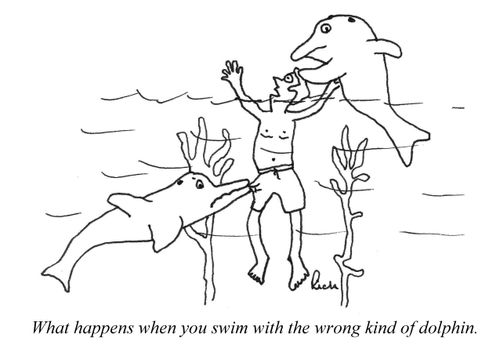 What happens when you swim with the wrong kind of dolphin.