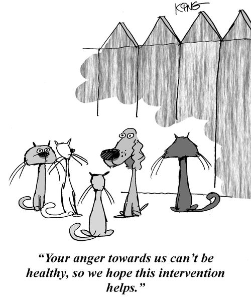 'Your anger towards us can't be healthy, so we hope this intervention helps.'