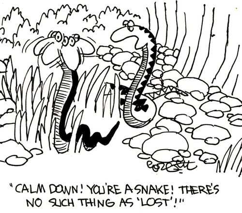 'Calm down! You're a snake! There's no such thing as 'lost'!'