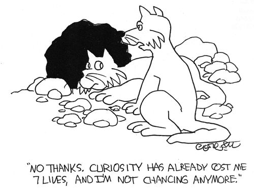 'No thanks, curiosity has already cost me 7 lives, and I'm not risking any more.'