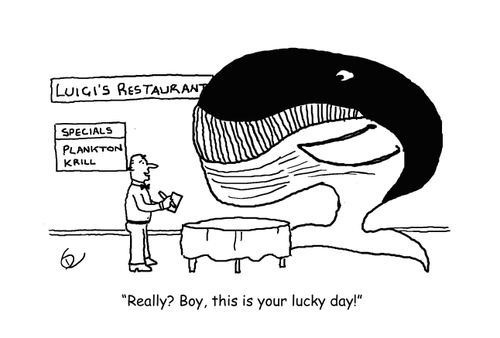 'Really? Boy, this is your lucky day!'