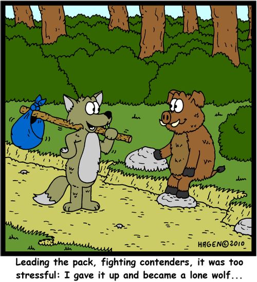 'Leading the pack, fighting contenders, it was too stressful: I gave it up and became a lone wolf...'