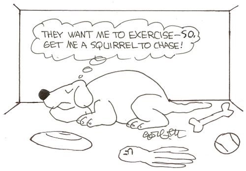 'They want me to exercise- so get me a squirrel to chase.'
