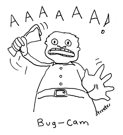 Bug-Cam.