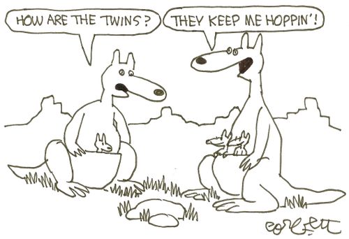 Kangaroos: 'How are the twins?   'They keep me hoppin'!'