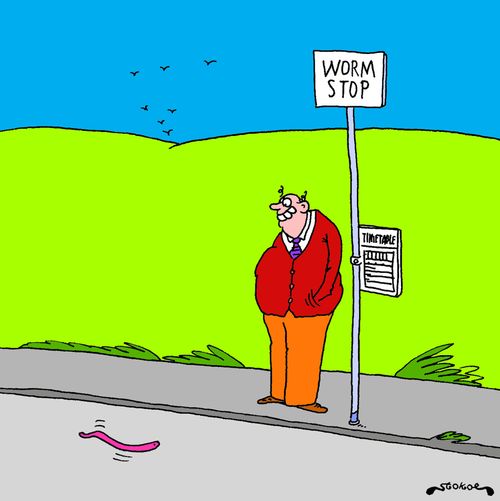 Worm Stop.