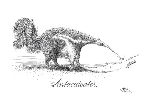 Antacideater