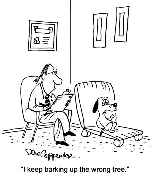 'I keep barking up the wrong tree.'