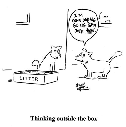 Thinking outside the box