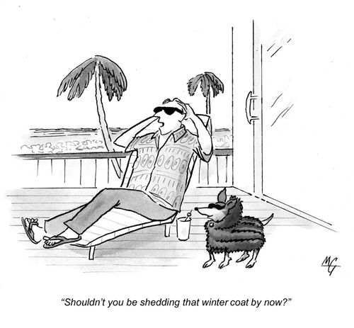 'Shouldn't you be shedding that winter coat by now?'