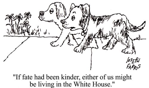 'If fate had been kinder, either of us might be living in the White House.'