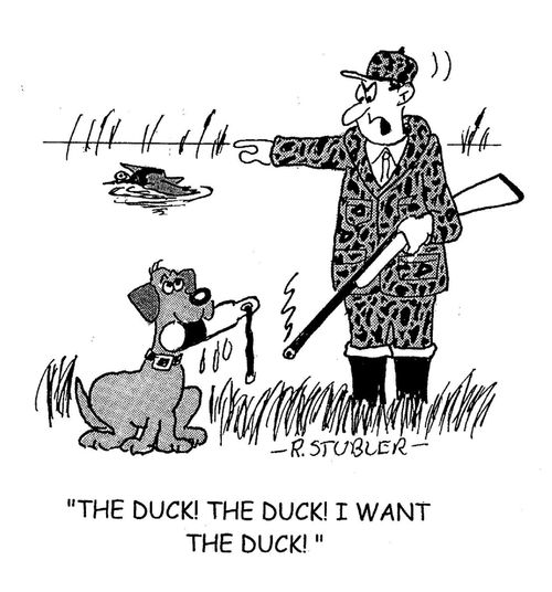 'The duck! The duck! I want the duck!'