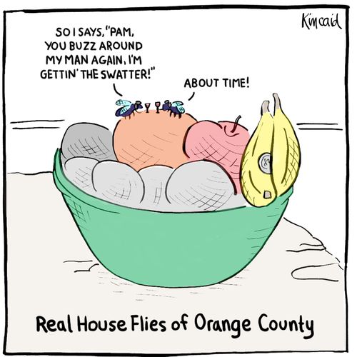 Real House Flies of Orange County