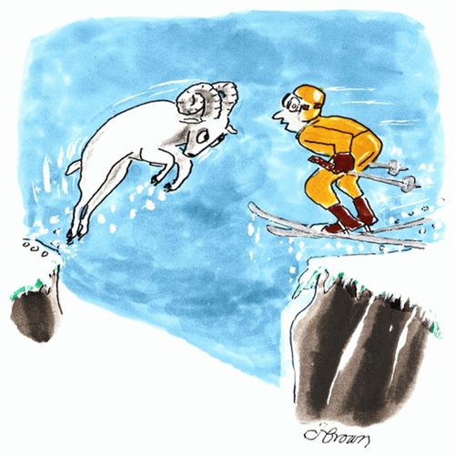 Skier about to collide with a ram.